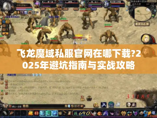 飞龙魔域私服官网在哪下载?2025年避坑指南与实战攻略