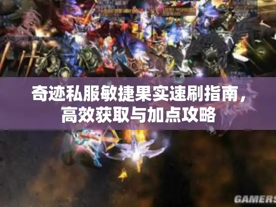 奇迹私服敏捷果实速刷指南，高效获取与加点攻略