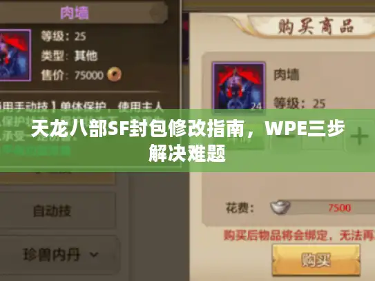 天龙八部SF封包修改指南，WPE三步解决难题