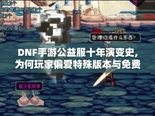 DNF手游公益服十年演变史,为何玩家偏爱特殊版本与免费资源?