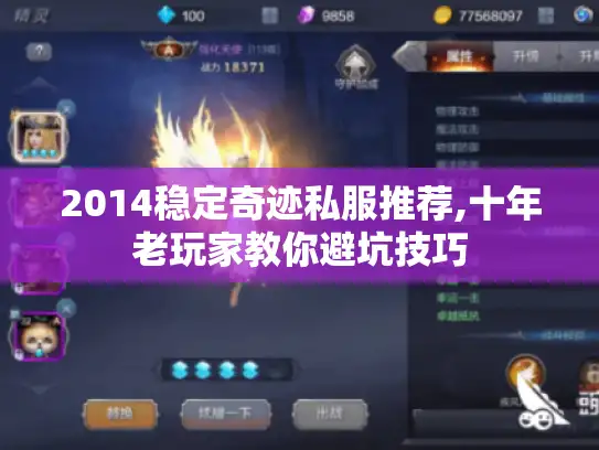 2014稳定奇迹私服推荐,十年老玩家教你避坑技巧