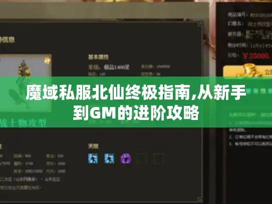 魔域私服北仙终极指南,从新手到GM的进阶攻略