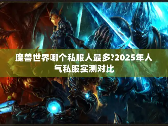 魔兽世界哪个私服人最多?2025年人气私服实测对比