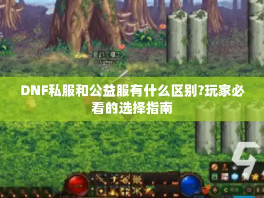 DNF私服和公益服有什么区别?玩家必看的选择指南