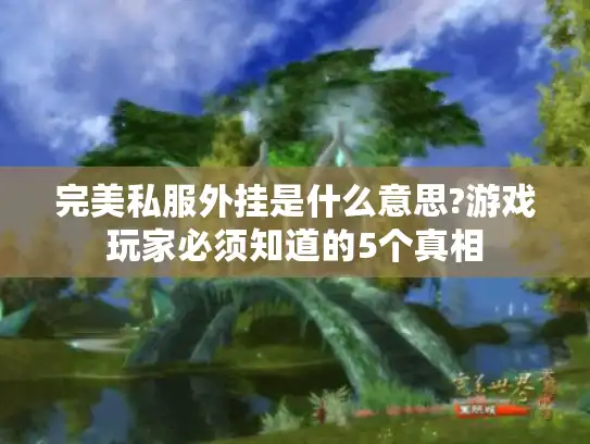 完美私服外挂是什么意思?游戏玩家必须知道的5个真相 完美私服外挂是什么意思?游戏玩家必须知道的5个真相