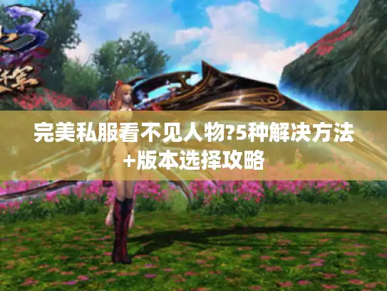 完美私服看不见人物?5种解决方法+版本选择攻略