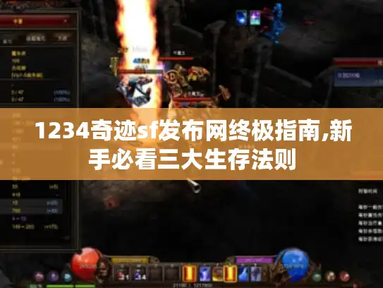 1234奇迹sf发布网终极指南,新手必看三大生存法则