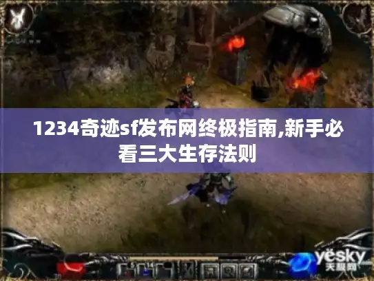 1234奇迹sf发布网终极指南,新手必看三大生存法则