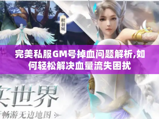 完美私服GM号掉血问题解析,如何轻松解决血量流失困扰 完美私服GM号掉血问题解析,如何轻松解决血量流失困扰