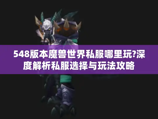 548版本魔兽世界私服哪里玩?深度解析私服选择与玩法攻略