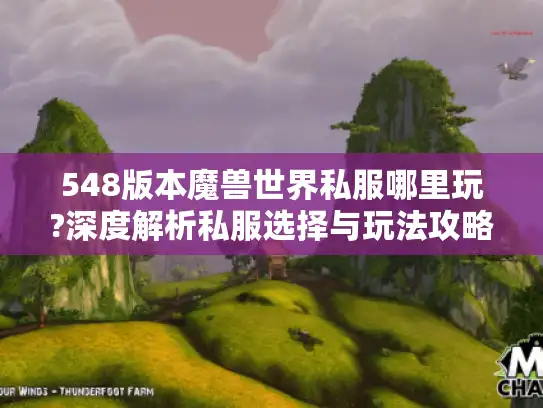 548版本魔兽世界私服哪里玩?深度解析私服选择与玩法攻略