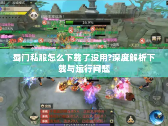 蜀门私服怎么下载了没用?深度解析下载与运行问题