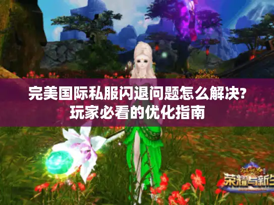 完美国际私服闪退问题怎么解决?玩家必看的优化指南