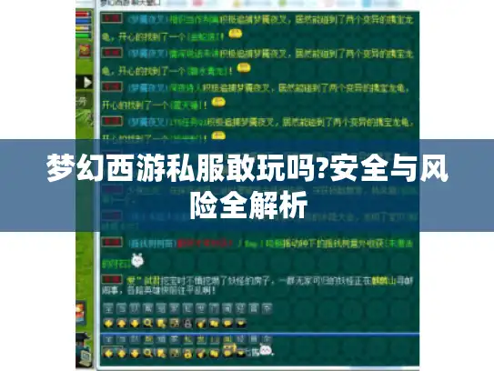 梦幻西游私服敢玩吗?安全与风险全解析