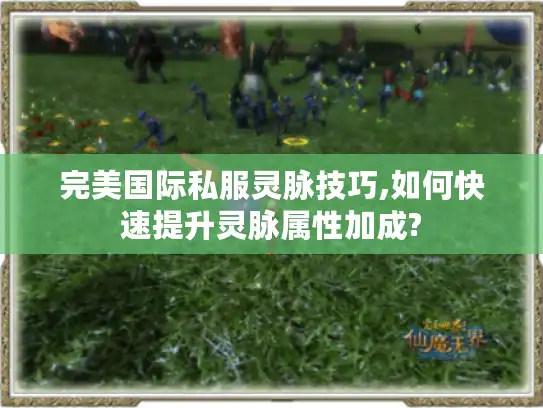 完美国际私服灵脉技巧,如何快速提升灵脉属性加成?