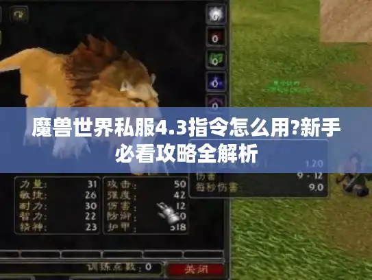 魔兽世界私服4.3指令怎么用?新手必看攻略全解析