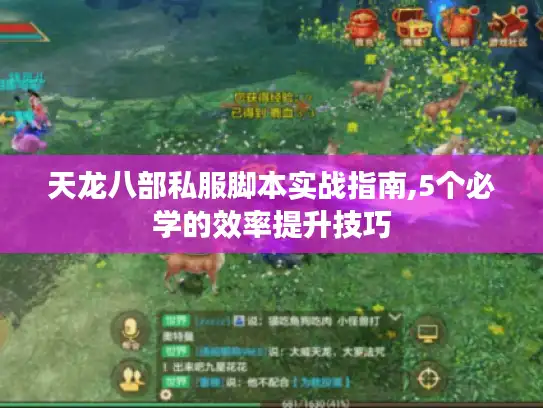 天龙八部私服脚本实战指南,5个必学的效率提升技巧
