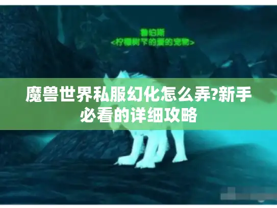 魔兽世界私服幻化怎么弄?新手必看的详细攻略