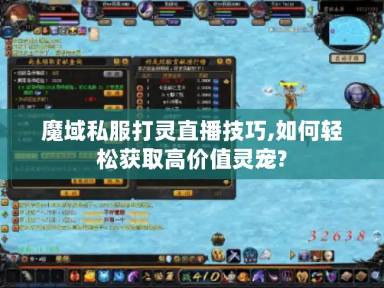 魔域私服打灵直播技巧,如何轻松获取高价值灵宠?