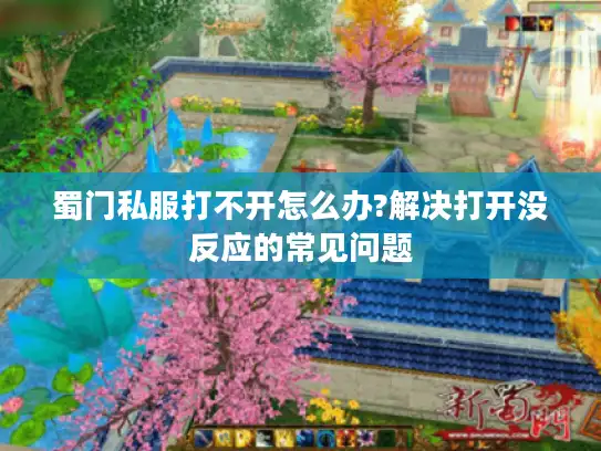 蜀门私服打不开怎么办?解决打开没反应的常见问题
