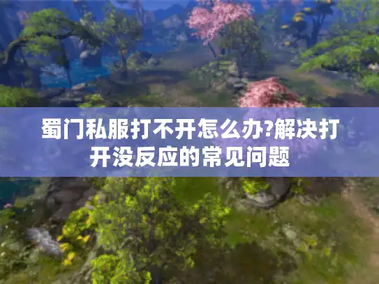 蜀门私服打不开怎么办?解决打开没反应的常见问题