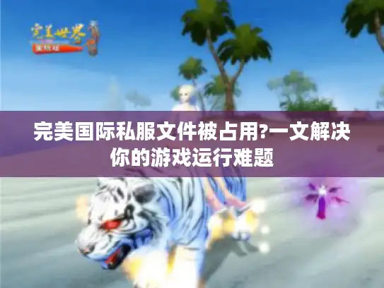 完美国际私服文件被占用?一文解决你的游戏运行难题