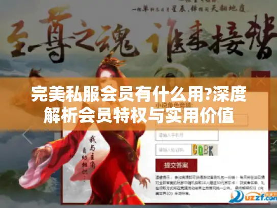 完美私服会员有什么用?深度解析会员特权与实用价值