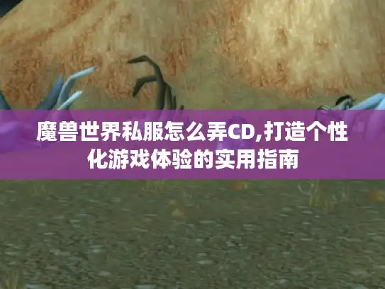 魔兽世界私服怎么弄CD,打造个性化游戏体验的实用指南