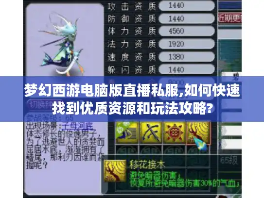 梦幻西游电脑版直播私服,如何快速找到优质资源和玩法攻略?