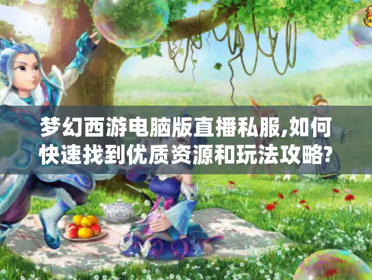 梦幻西游电脑版直播私服,如何快速找到优质资源和玩法攻略?