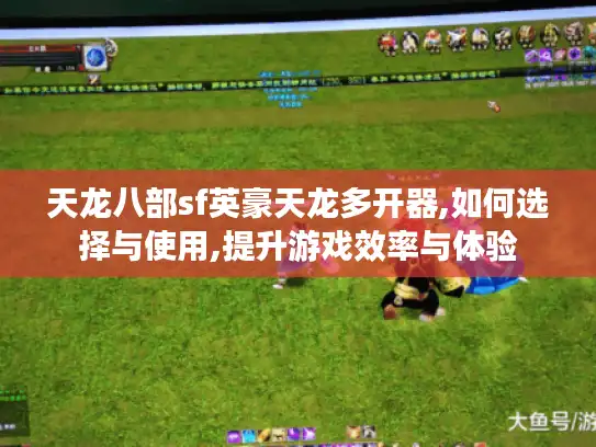 天龙八部sf英豪天龙多开器,如何选择与使用,提升游戏效率与体验