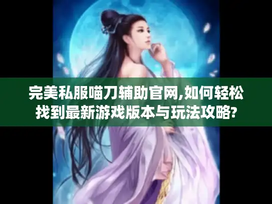 完美私服喵刀辅助官网,如何轻松找到最新游戏版本与玩法攻略?