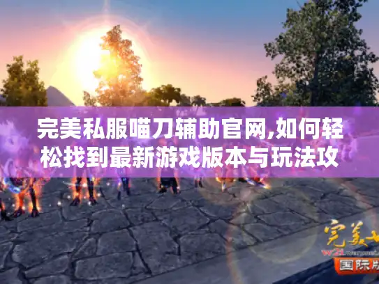 完美私服喵刀辅助官网,如何轻松找到最新游戏版本与玩法攻略?