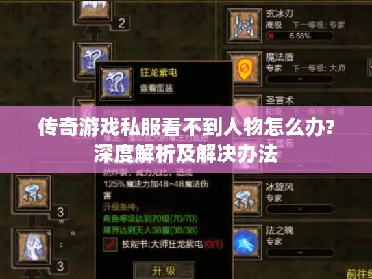 传奇游戏私服看不到人物怎么办?深度解析及解决办法