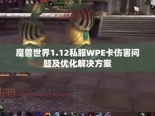 魔兽世界1.12私服WPE卡伤害问题及优化解决方案