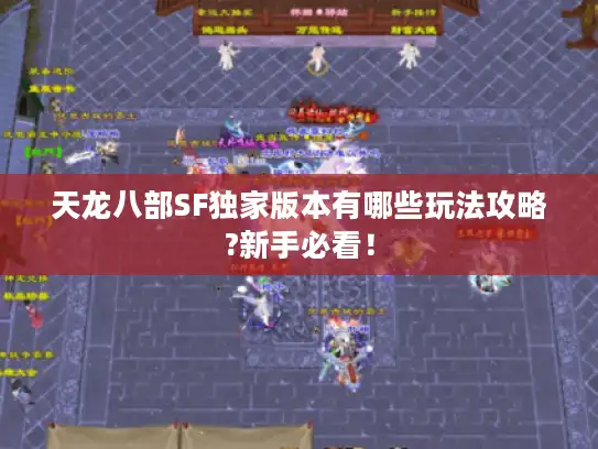 天龙八部SF独家版本有哪些玩法攻略?新手必看! 天龙八部SF独家版本有哪些玩法攻略?新手必看!