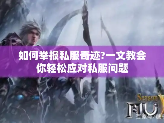如何举报私服奇迹?一文教会你轻松应对私服问题 如何举报私服奇迹?一文教会你轻松应对私服问题