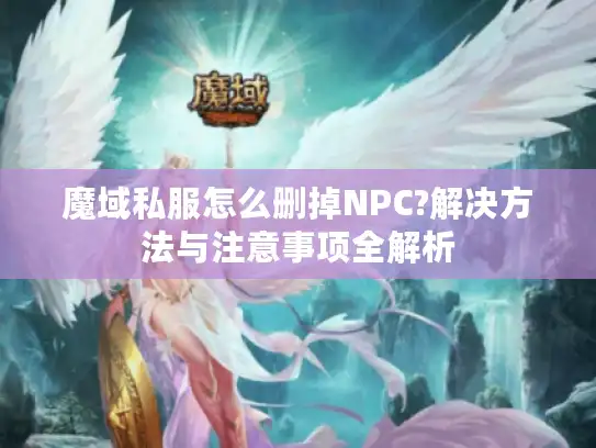 魔域私服怎么删掉NPC?解决方法与注意事项全解析