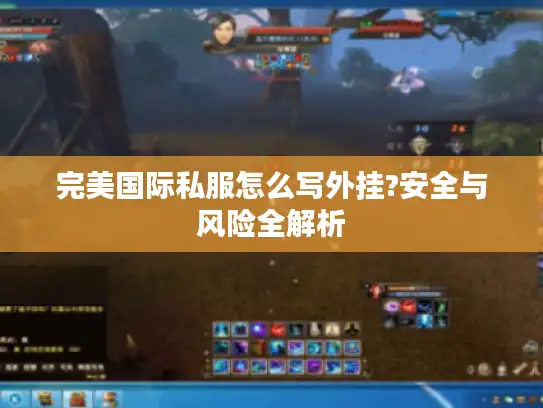完美国际私服怎么写外挂?安全与风险全解析