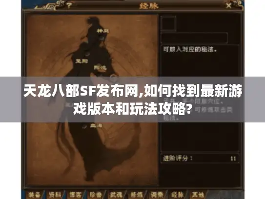 天龙八部SF发布网,如何找到最新游戏版本和玩法攻略?