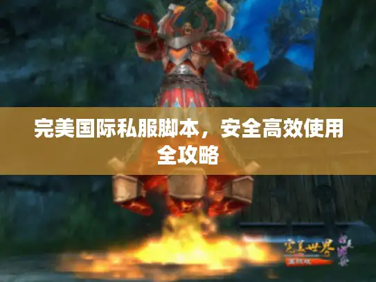 完美国际私服脚本，安全高效使用全攻略