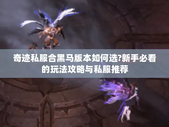 奇迹私服合黑马版本如何选?新手必看的玩法攻略与私服推荐 奇迹私服合黑马版本如何选?新手必看的玩法攻略与私服推荐