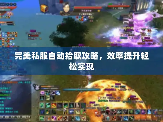 完美私服自动拾取攻略，效率提升轻松实现