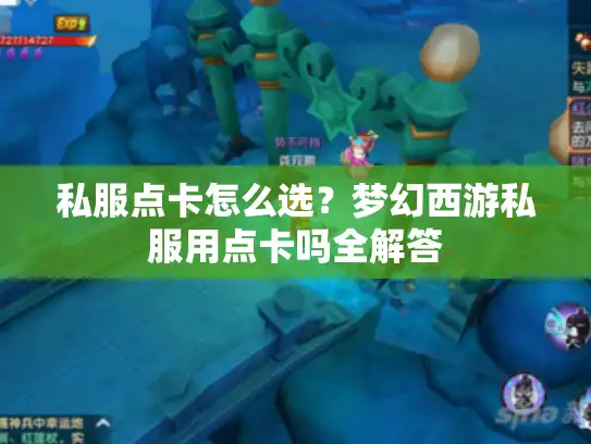 私服点卡怎么选？梦幻西游私服用点卡吗全解答