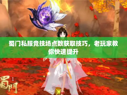 蜀门私服竞技场点数获取技巧,老玩家教你快速提升 蜀门私服竞技场点数获取技巧,老玩家教你快速提升