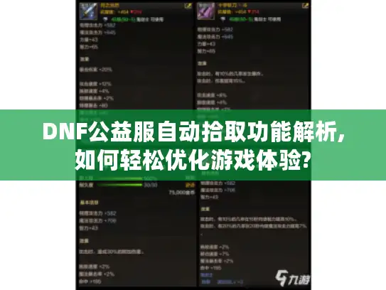 DNF公益服自动拾取功能解析,如何轻松优化游戏体验?