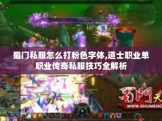 蜀门私服怎么打粉色字体,道士职业单职业传奇私服技巧全解析