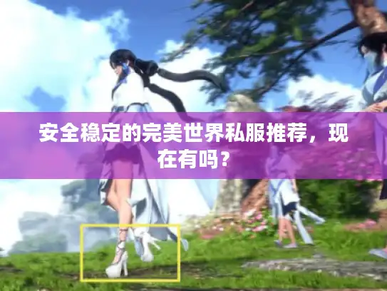 安全稳定的完美世界私服推荐,现在有吗? 安全稳定的完美世界私服推荐,现在有吗?