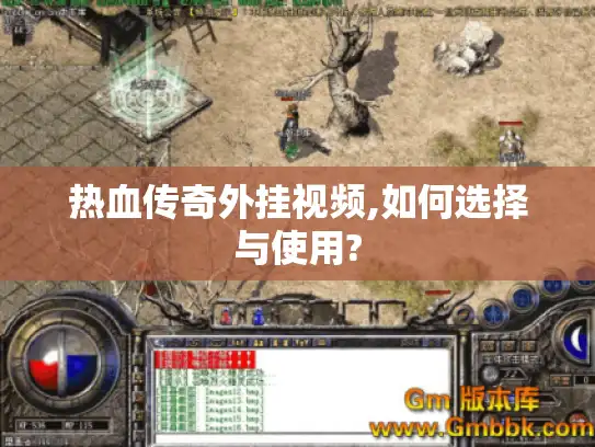 热血传奇外挂视频,如何选择与使用?