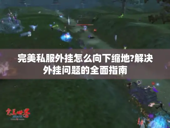 完美私服外挂怎么向下缩地?解决外挂问题的全面指南 完美私服外挂怎么向下缩地?解决外挂问题的全面指南